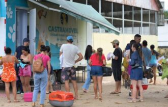 Sepet realiza castração de 300 animais em Barcelos