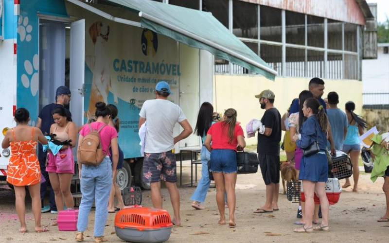 Sepet realiza castração de 300 animais em Barcelos