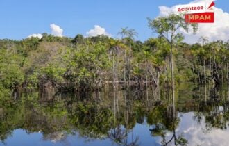 Ministério Público do Amazonas participa de evento internacional sobre clima