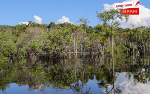 Prefeitos gastam mais com meio ambiente em anos eleitorais, mostra estudo