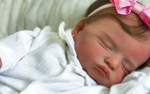 Homem agride criança de 4 meses por achar que era bebê reborn