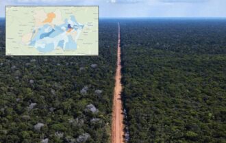 amazonas-lidera-ranking-de-pio