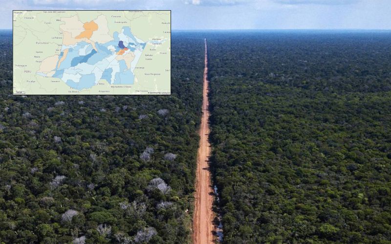 amazonas-lidera-ranking-de-pio