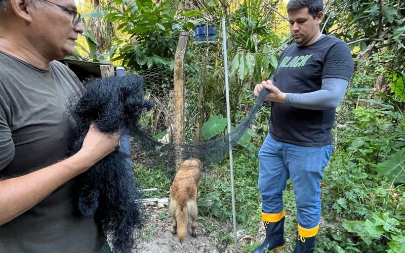 CCZ reforça alerta para população de Manaus nas ações de prevenção contra raiva