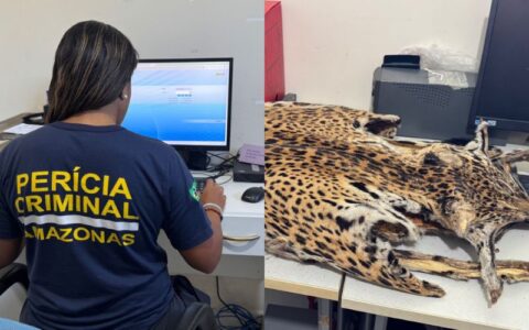 crimes-contra-fauna-e-flora-sa