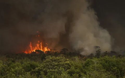 incendios-impulsionam-alta-de-