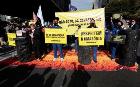 manifestantes-realizam-protest