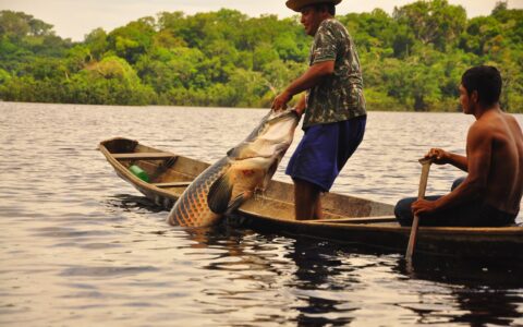 Município de Itamarati ganha novo Acordo de Pesca com benefício direto para 200 famílias