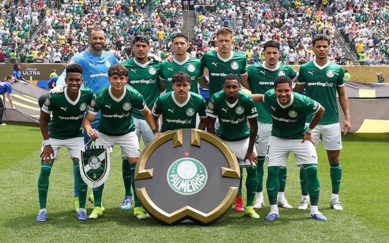 palmeiras-vence-botafogo-e-ava