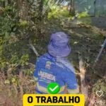 rocagem-em-labrea-custara-r-36
