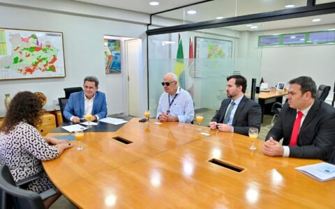 tadeu-de-souza-se-reune-com-go