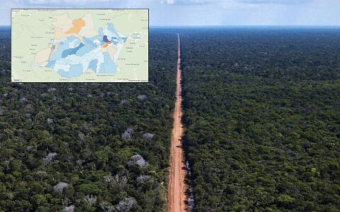 amazonas-lidera-ranking-de-pio