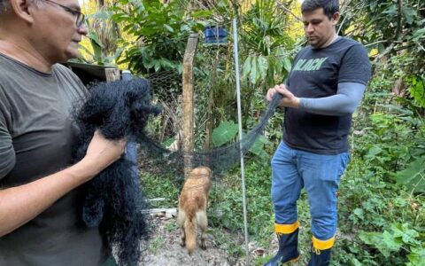 CCZ reforça alerta para população de Manaus nas ações de prevenção contra raiva