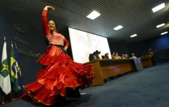 ciganos-e-aliados-se-mobilizam