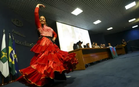 ciganos-e-aliados-se-mobilizam