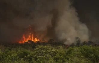 incendios-impulsionam-alta-de-