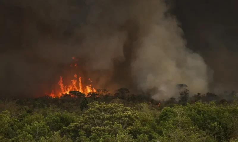 incendios-impulsionam-alta-de-