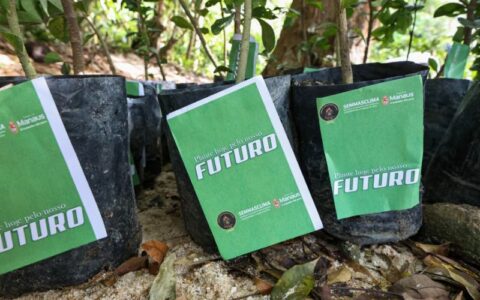 programacao-historica-do-mes-d