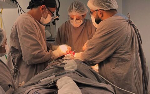 Adriano Jorge faz história com remoção de tumor mandibular de mais de 2 kg