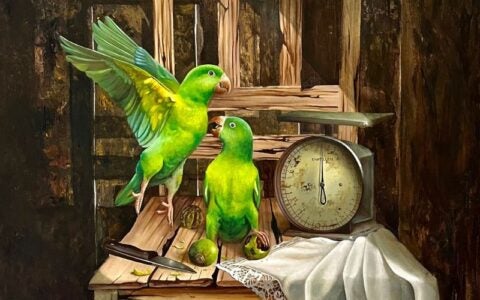 arte-da-amazonia-para-o-mundo-