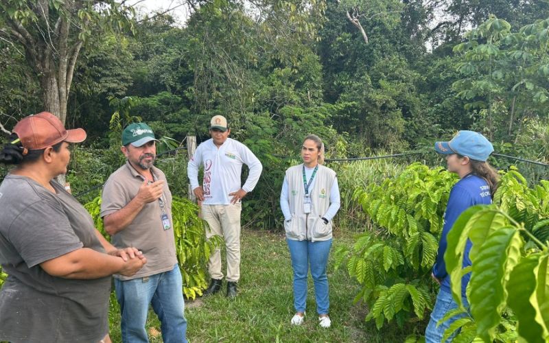 Em São Sebastião do Uatumã, demanda por crédito rural ultrapassa R$ 275 mil