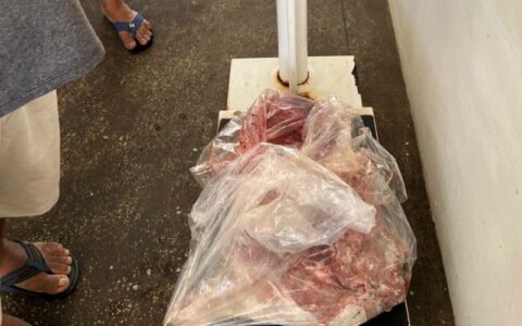 ipaam-apreende-carne-de-capiva