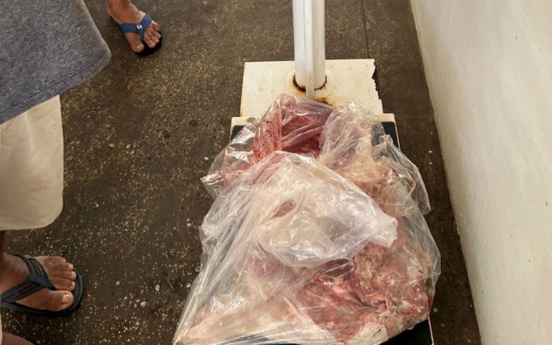 ipaam-apreende-carne-de-capiva