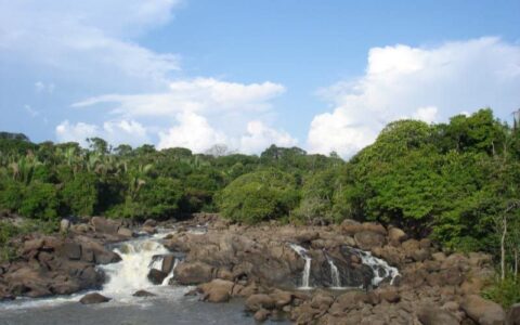 lei-federal-amplia-acesso-e-tu