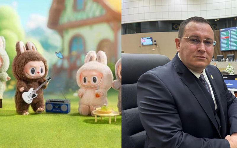 quando-o-brinquedo-vira-pauta-