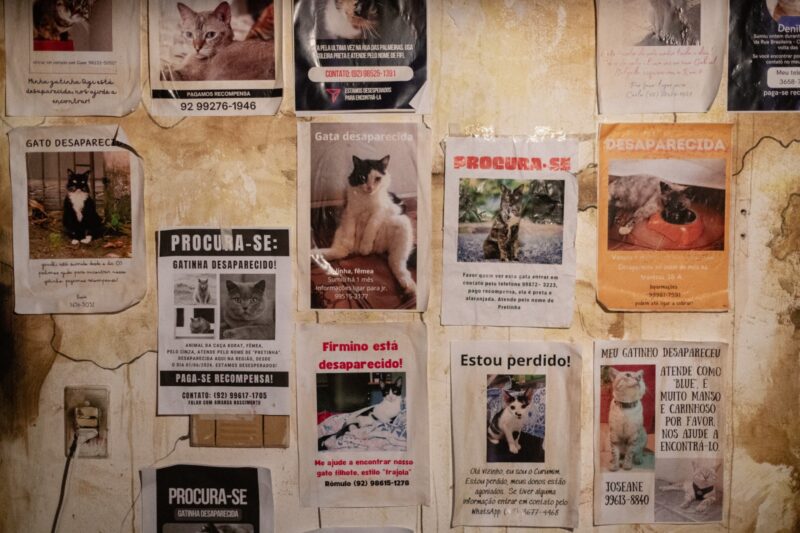 teatro-gebes-medeiros-recebe-e