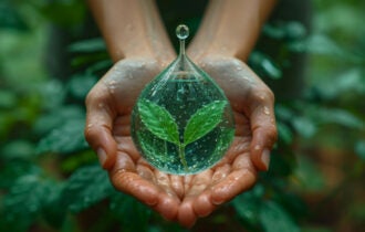 a-bioeconomia-invisivel-que-su