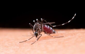 brasil-inaugura-maior-biofabri