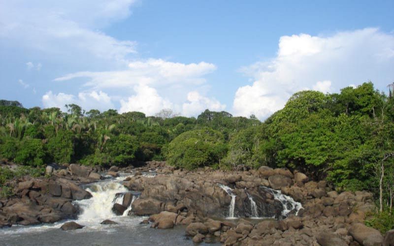 lei-federal-amplia-acesso-e-tu