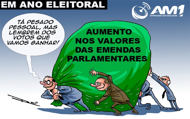 em-ano-eleitoral-parlamentares