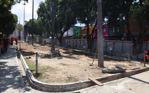 praca-dos-remedios-comeca-a-se