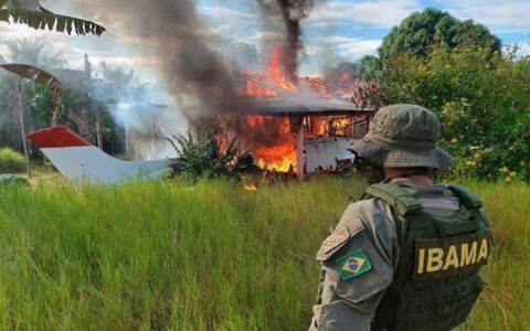senado-quer-proibir-destruicao