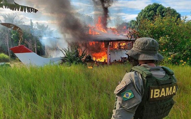 senado-quer-proibir-destruicao