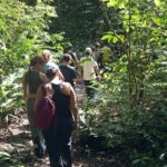 turismo-no-amazonas-cresce-mas