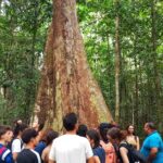 turismo-no-amazonas-cresce-mas