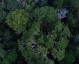 brasil-tem-o-desafio-de-elevar