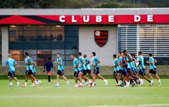 flamengo-garante-terreno-e-ava