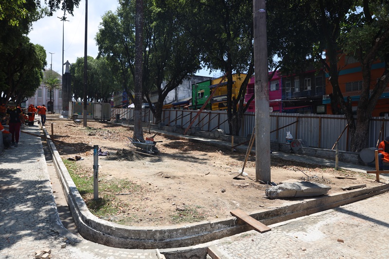 praca-dos-remedios-comeca-a-se