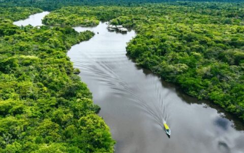 sema-amazonas-participa-da-sem