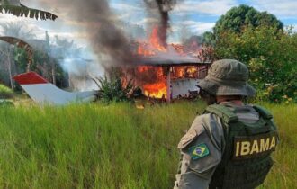 senado-quer-proibir-destruicao