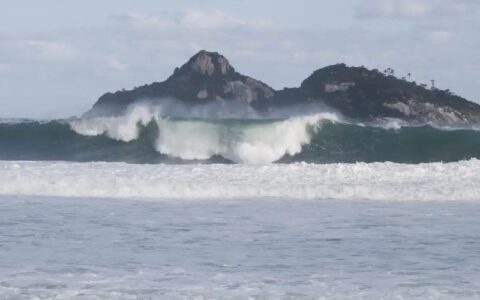 Jovens de 9 países participam de curso de pesquisas oceânicas no Rio