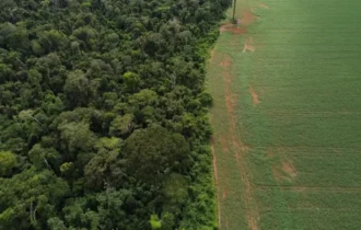 Brasil apresenta soluções de financiamento climático em Nova York