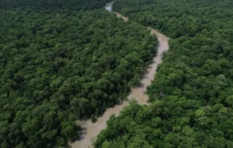 Programação do Dia da Amazônia mobiliza para COP30