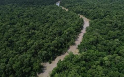 Programação do Dia da Amazônia mobiliza para COP30
