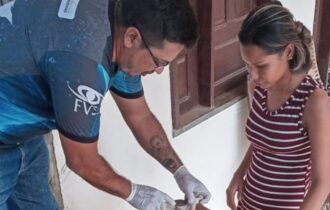 Cerca de 64% dos municípios do Amazonas atingem meta de vacinação contra raiva