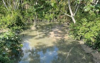 Preservar igarapés de Manaus exige consciência, reciclagem e saneamento